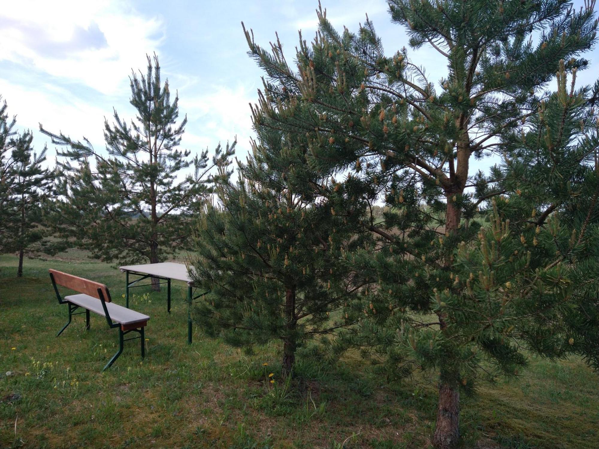 Lahemaa Kohvikann B & B, Caravan Park Palmse Exteriör bild